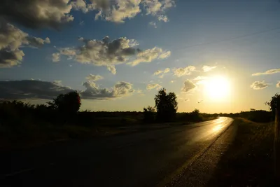 DSC_7834 (Large).JPG